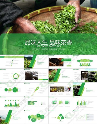 茶韵禅心 中国风茶文化宣传推广方案